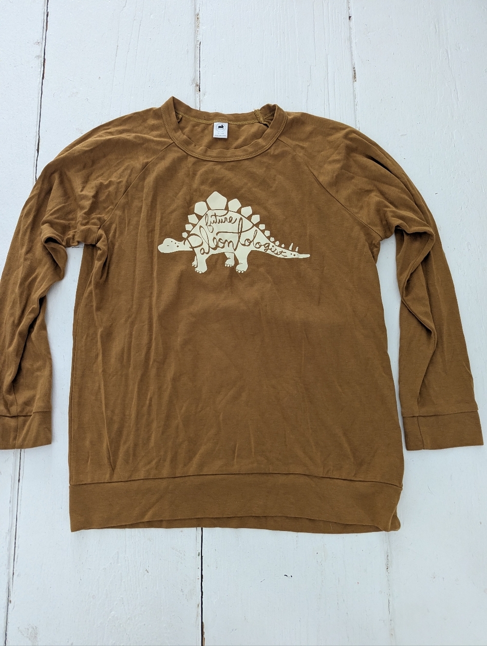 Little & Lively "Future Paleontologist" Long Sleeve Dinosaur Graphic Top